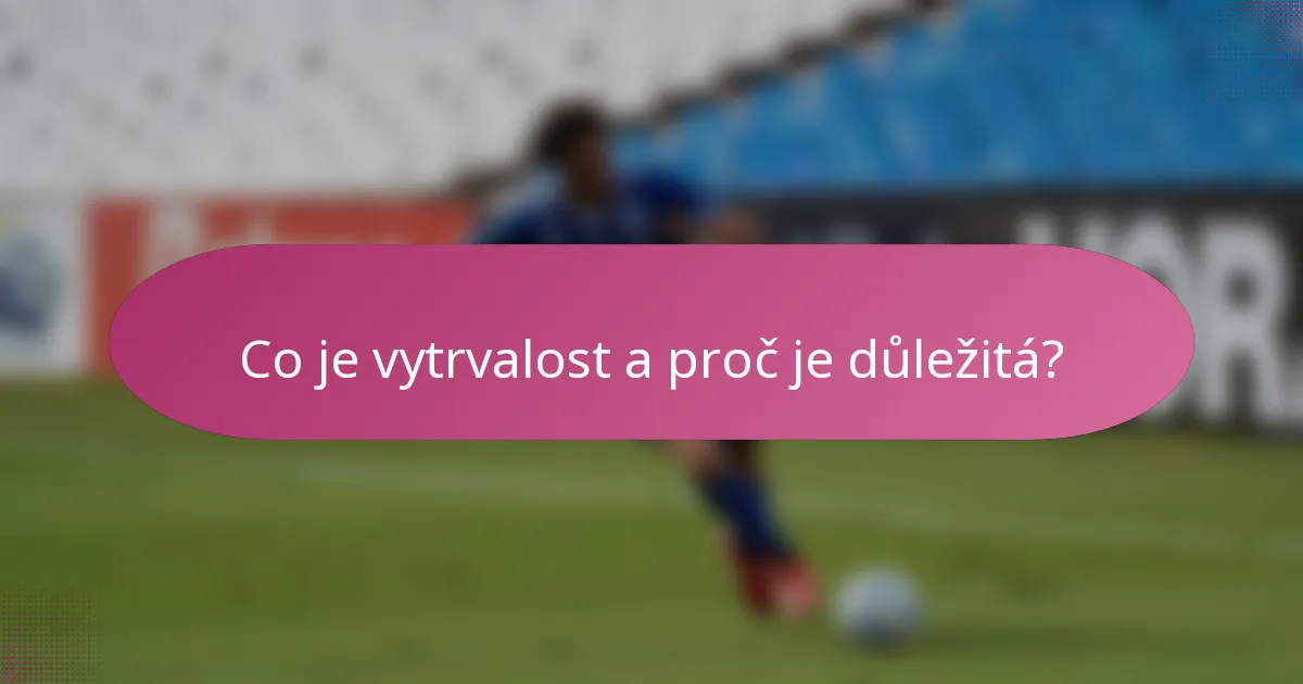 Co je vytrvalost a proč je důležitá?