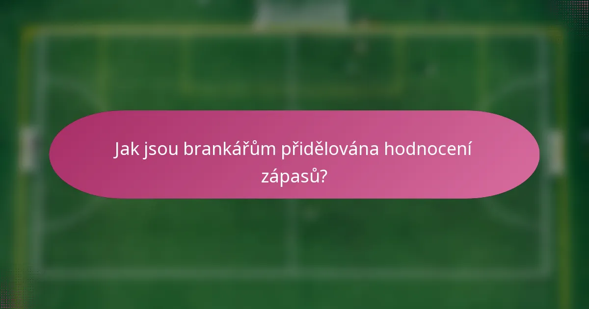 Jak jsou brankářům přidělována hodnocení zápasů?