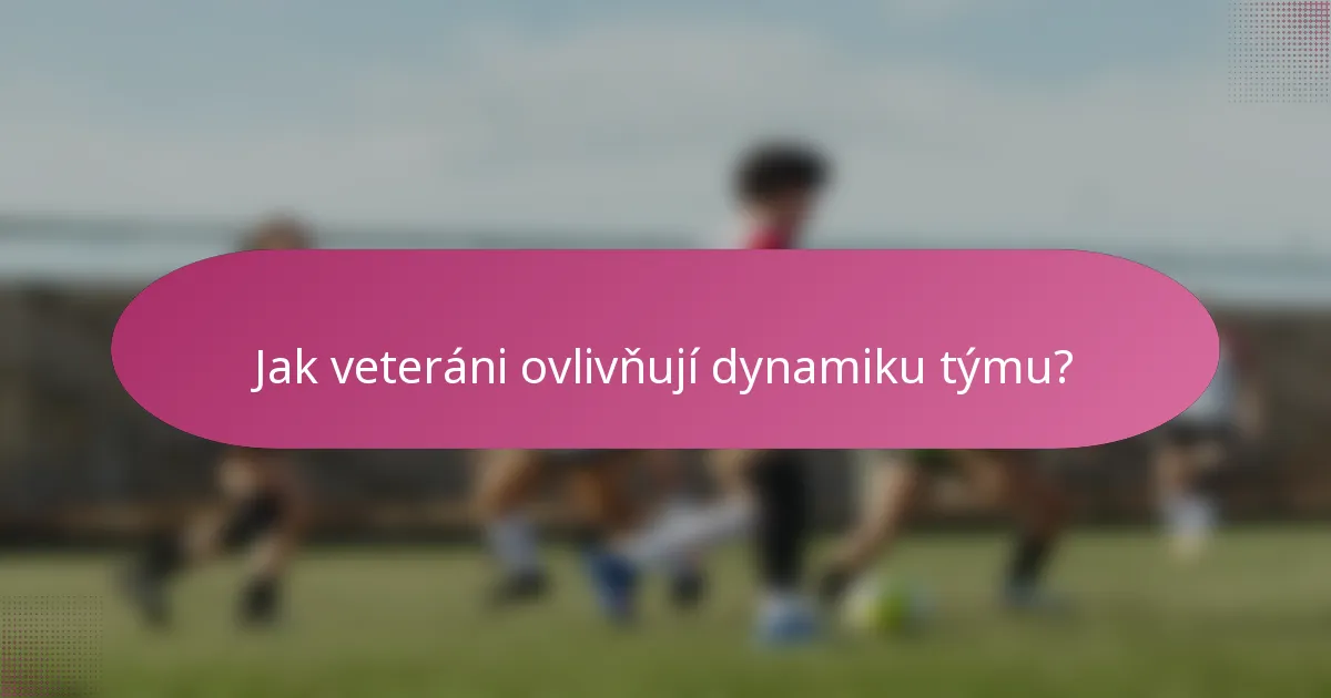 Jak veteráni ovlivňují dynamiku týmu?