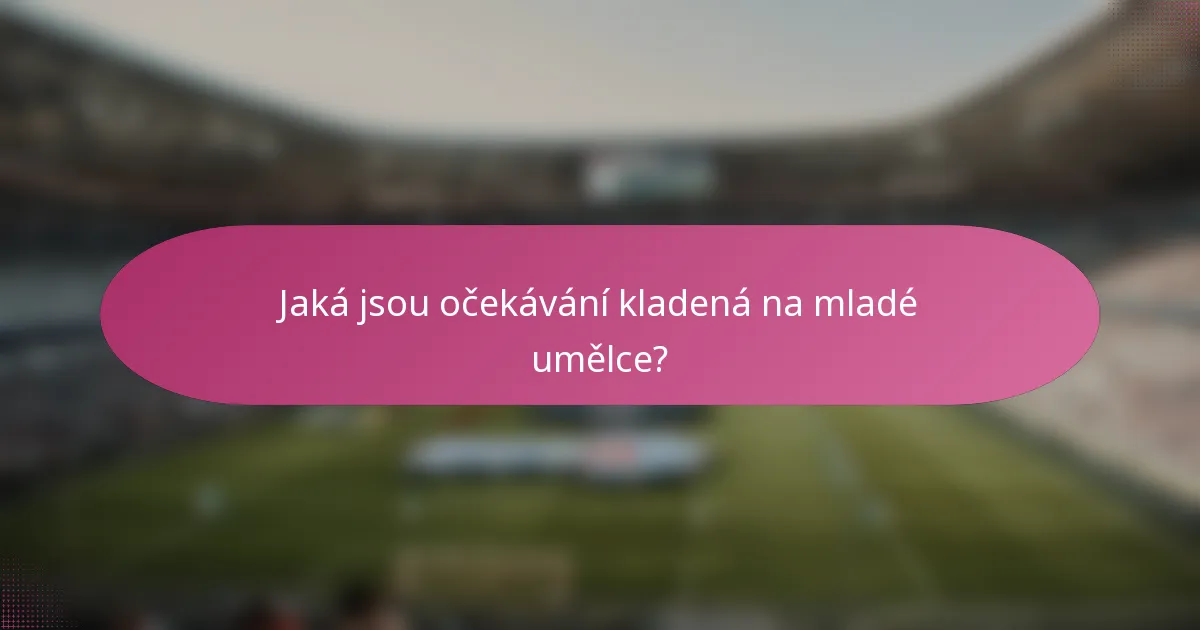 Jaká jsou očekávání kladená na mladé umělce?